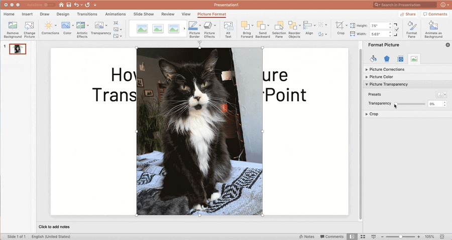 Hướng dẫn cách tạo hình ảnh trong suốt với PowerPoint