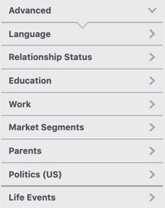 advanced section of facebook audience insights