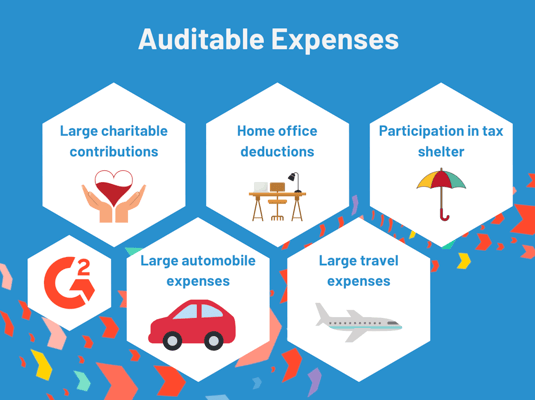 auditable expenses