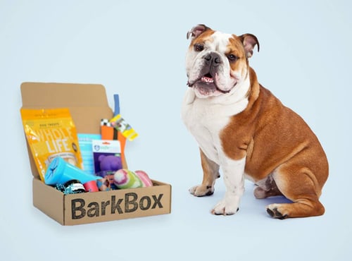 bark box subscription box