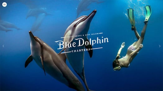 blue dolphin charters