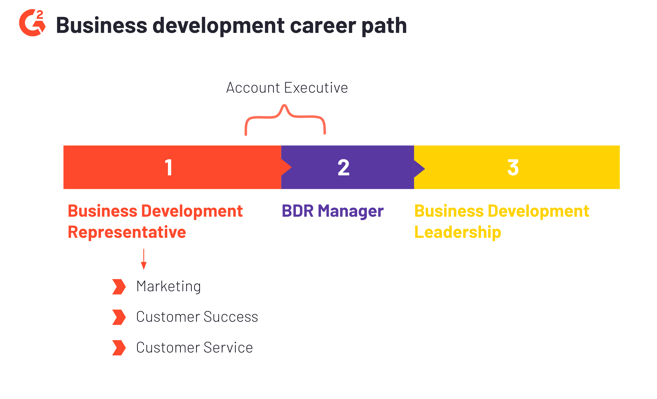 business development career path outline