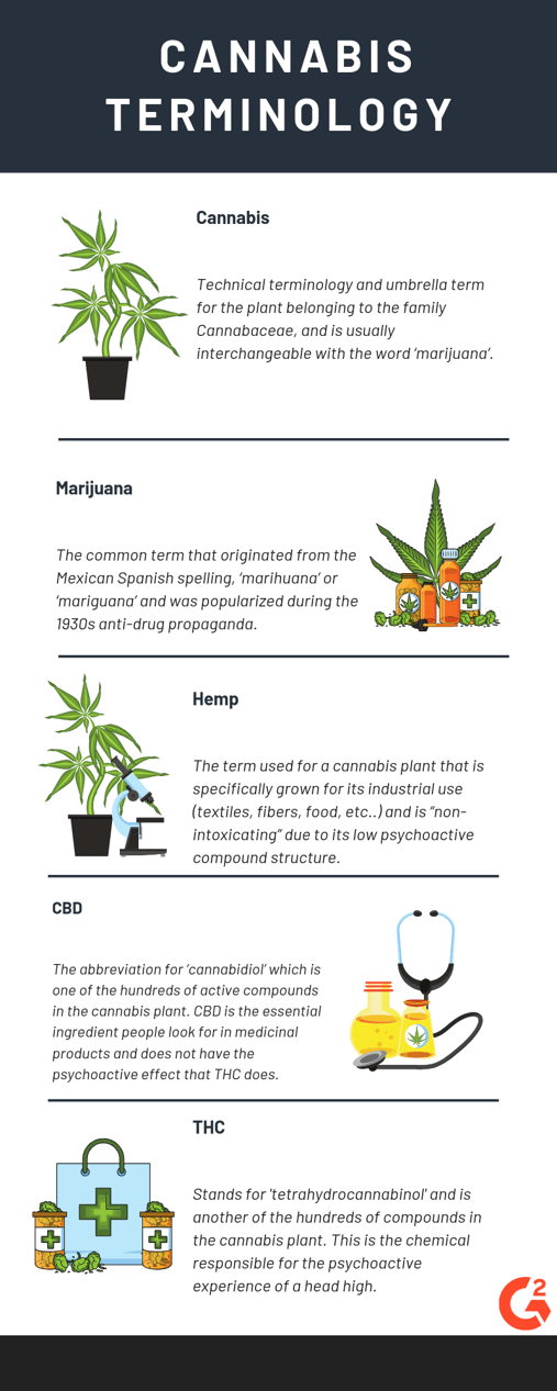 cannabis terminology