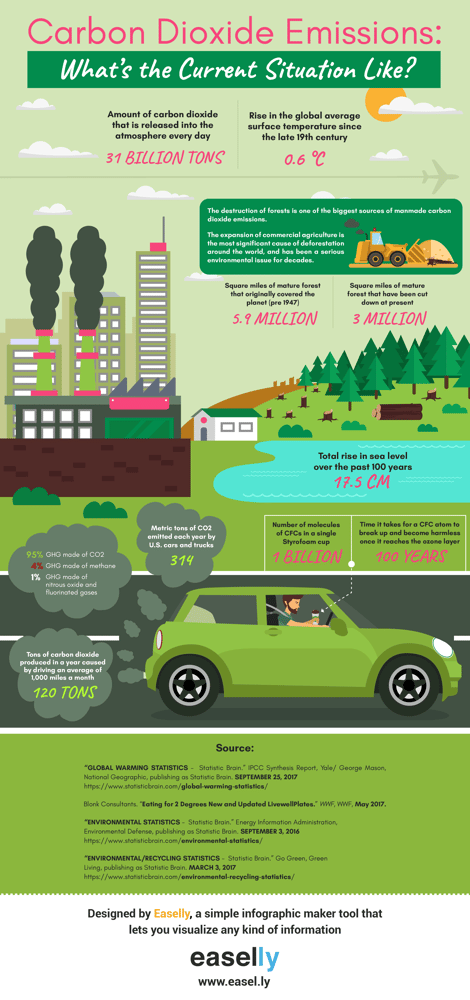 carbon dioxide infographic