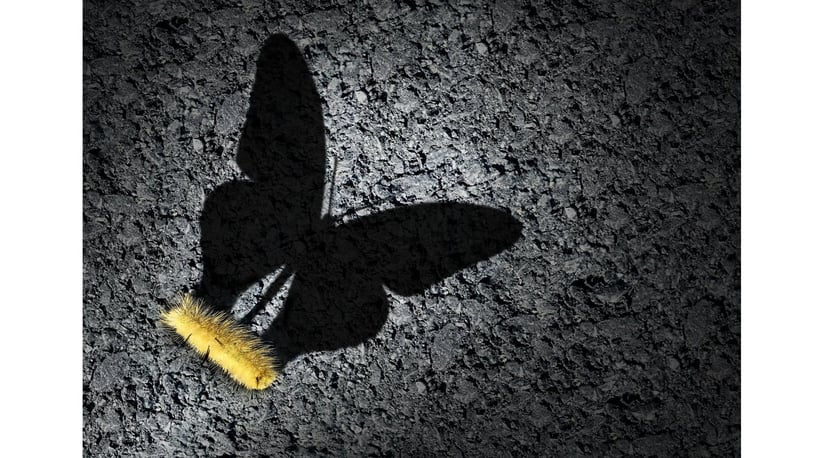 Change Management Process: How to Handle the Inevitable