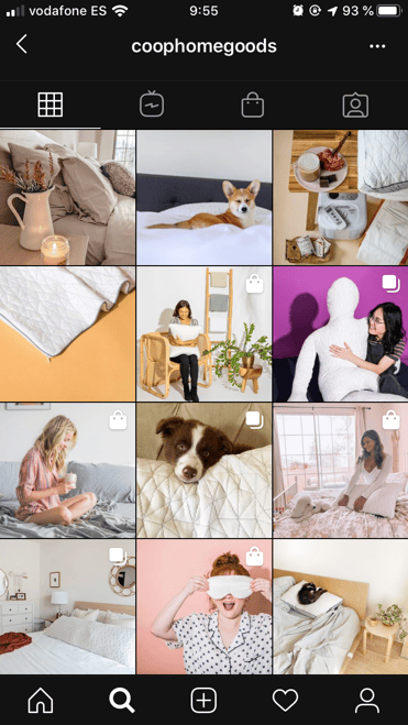 coop home goods instagram business profile example