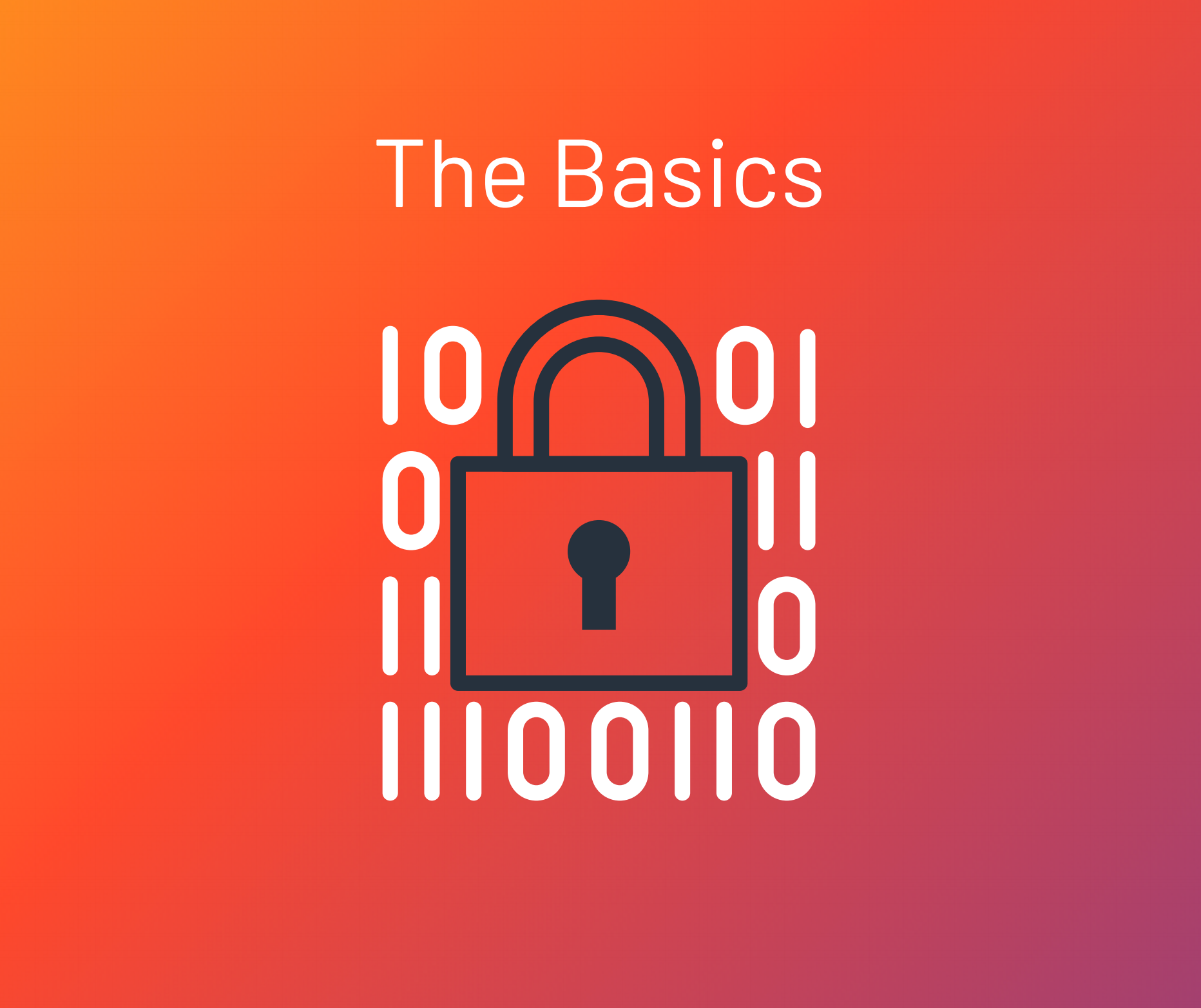 Cyber Security Basics