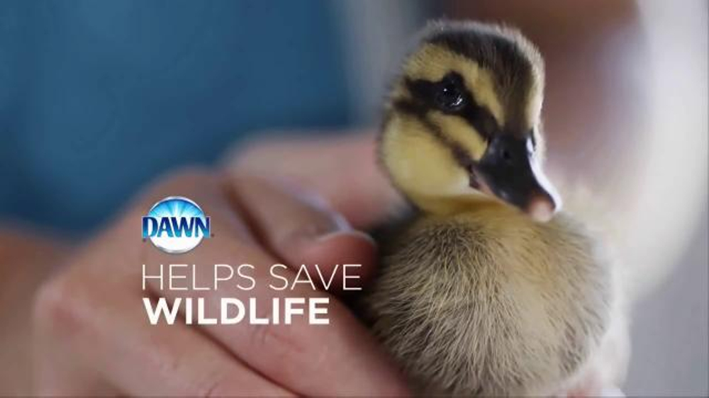 What Is Mass Marketing? How It’s Effective