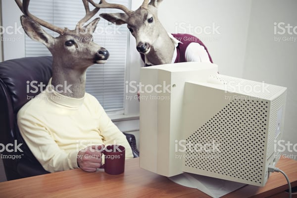 deer office workers