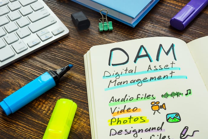 From Chaos to Control: Asset Avalanche vs. DAM Systems