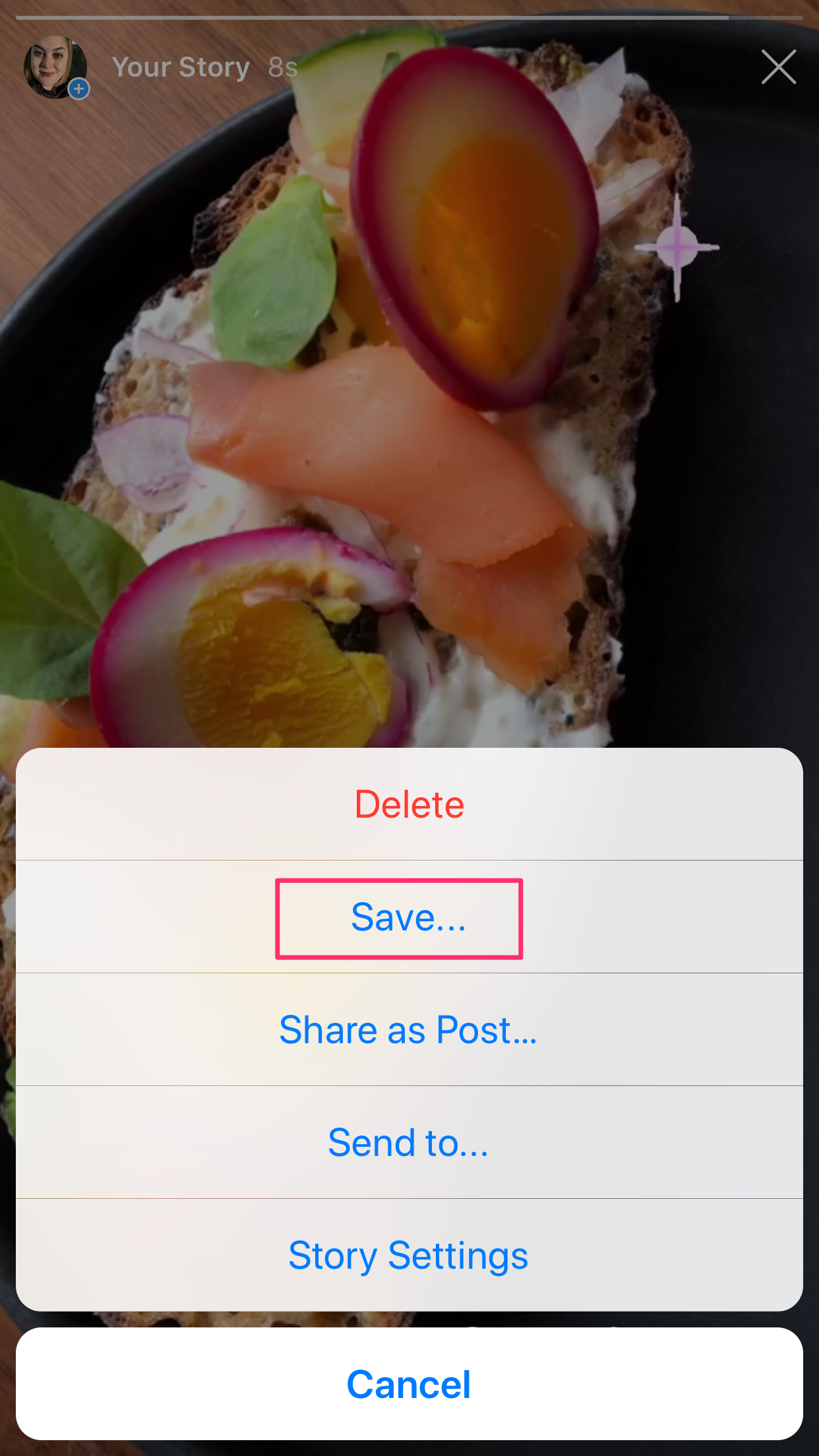 save instagram stories online