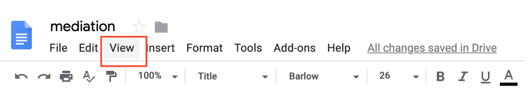google docs view