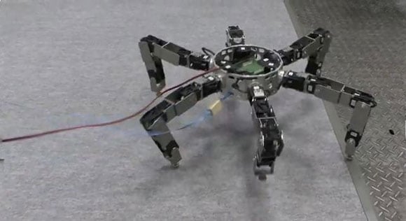 hexapod