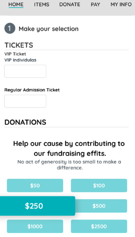 Auction software: GiveSmart