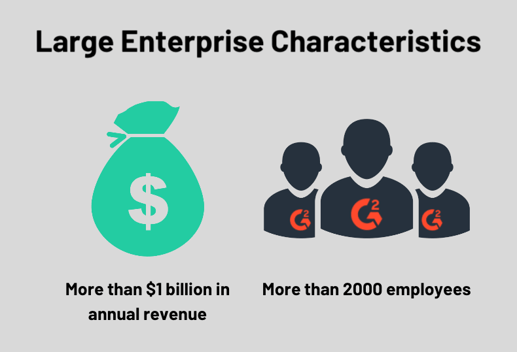 large enterprise characteristics