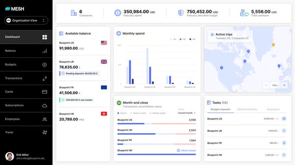 mesh payments