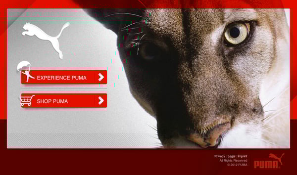 puma splash screen