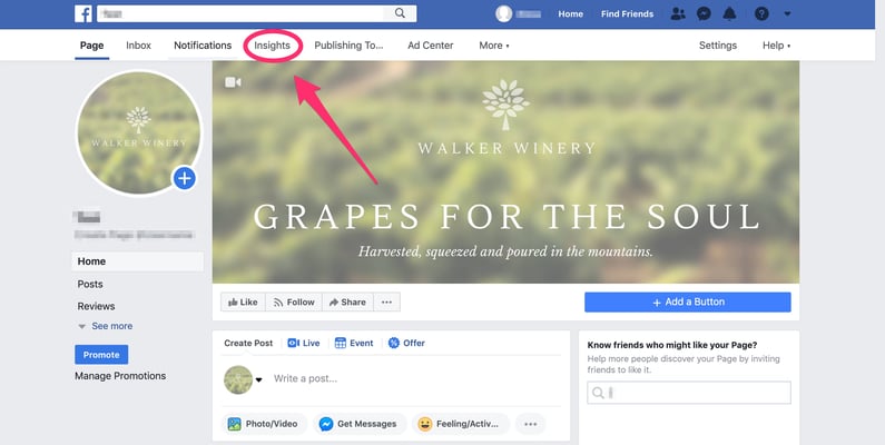 walker winery facebook page (pointing to the insights tab)