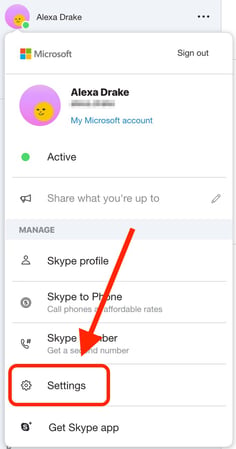 skype profile