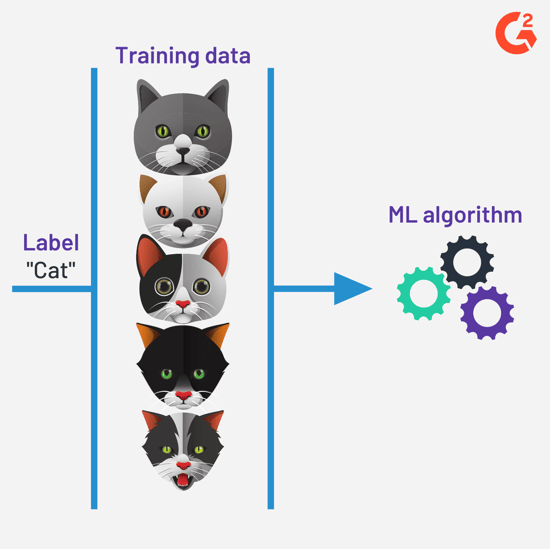 supervised learning algorithm
