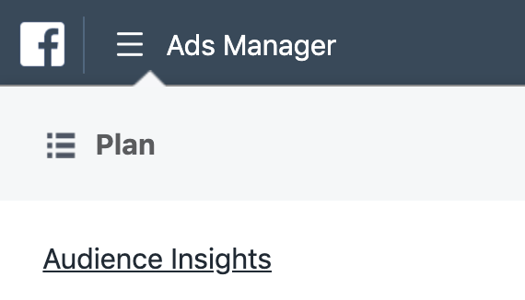 the audience insights link under the facebook ads manager tab