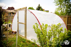 trampoline-greenhouse