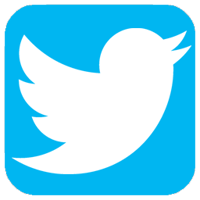 delete twitter logo