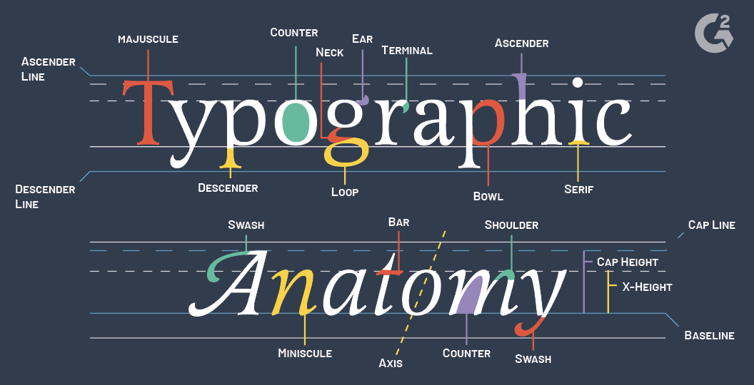 Ui typography. UI типографика. Типографика перечисление. What is Typography. Types of terms.