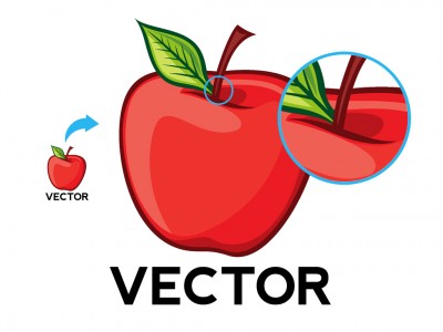 vector-vs-raster