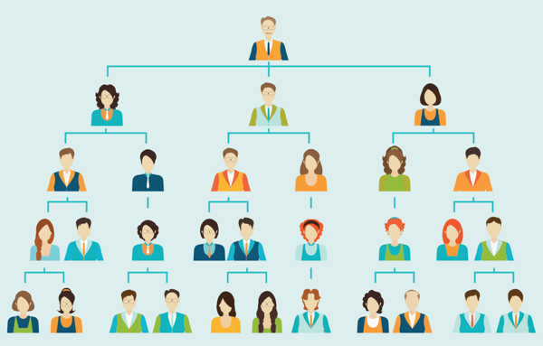 explain two elements of a business plan workplace organization