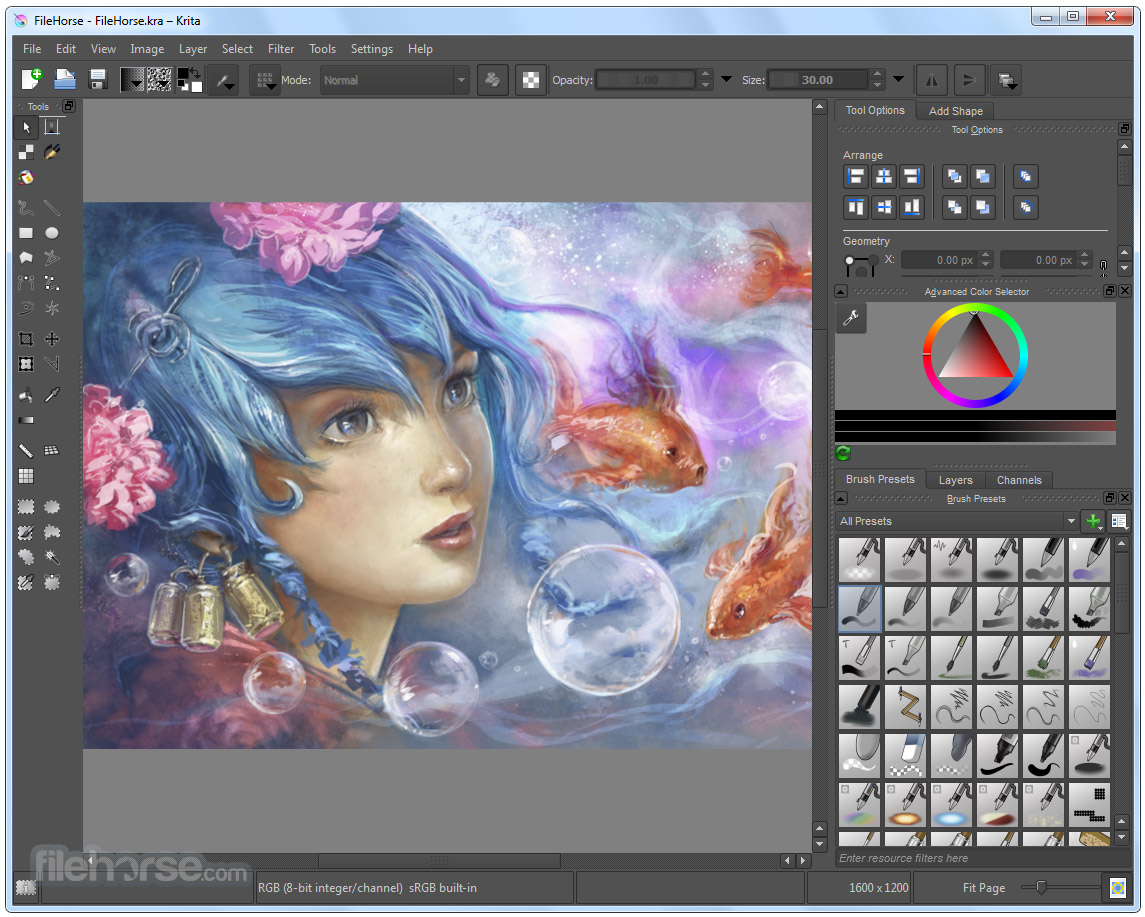 free illustration software download