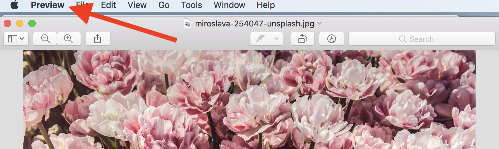 view-mac-photo-preview