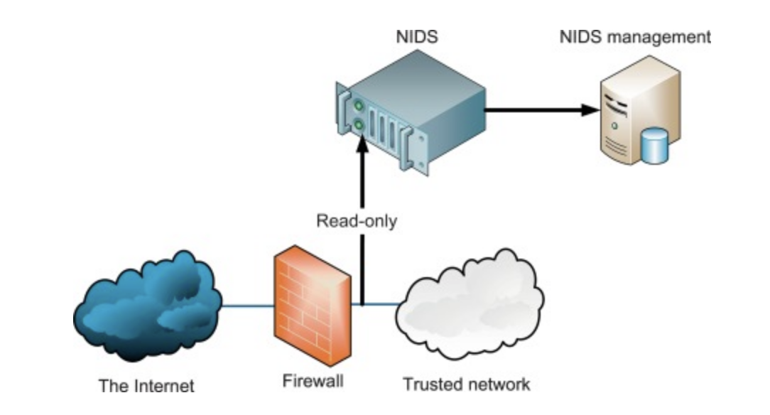 Network intrusion detection system (NIDS)