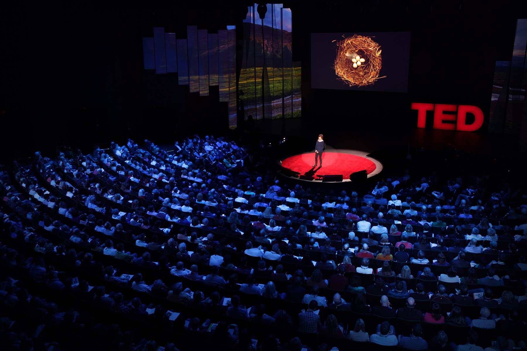 Ted Talk Speaker