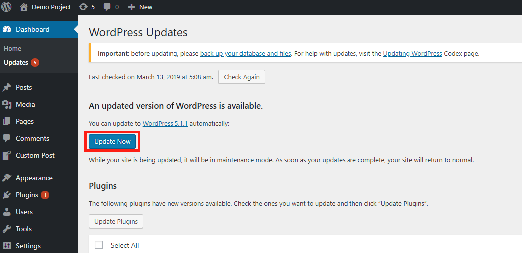 WordPress updates