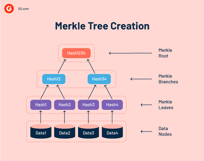 what is merkle tree creation in cryptocurrency mining