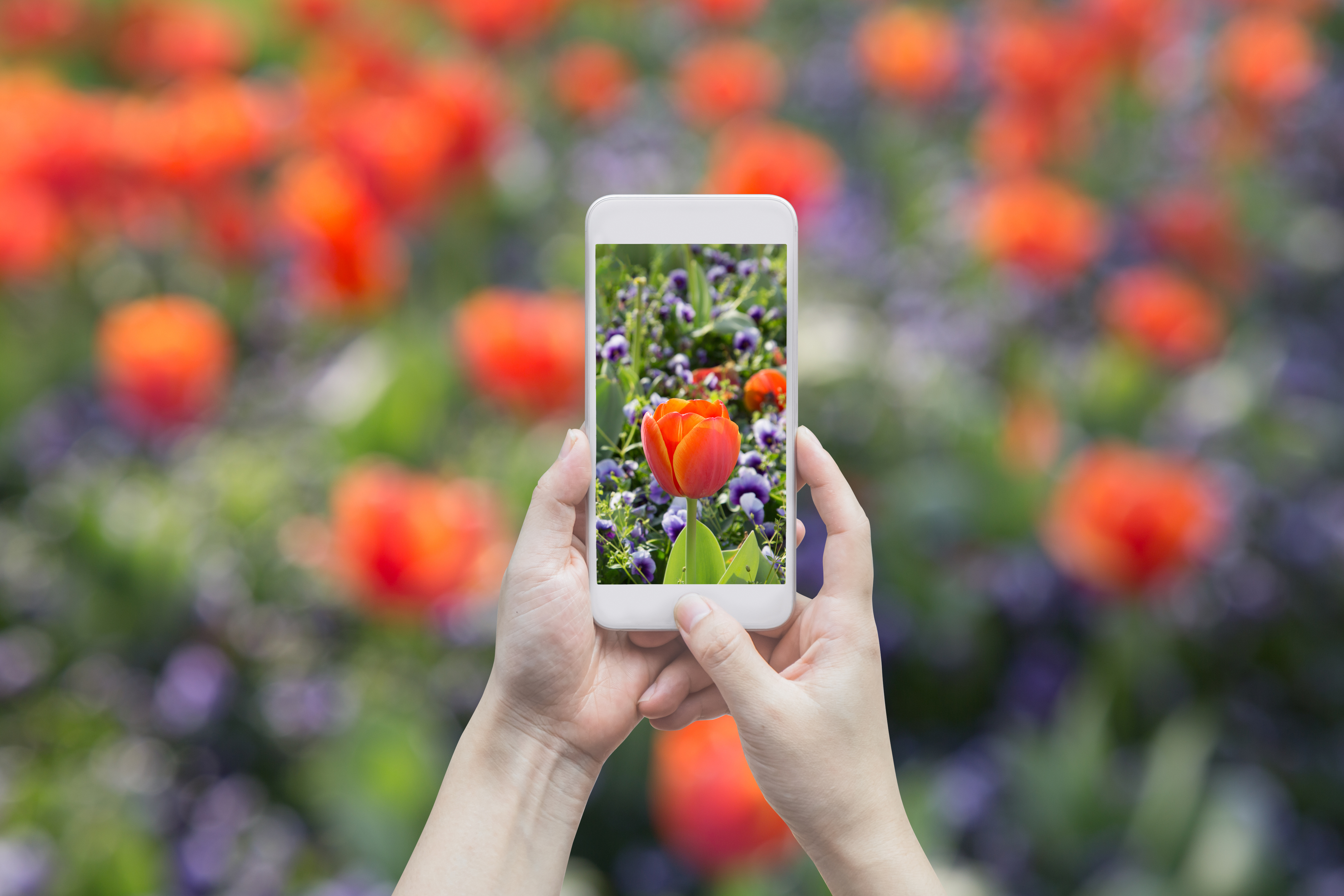 Portrait Mode Meaning In Tamil