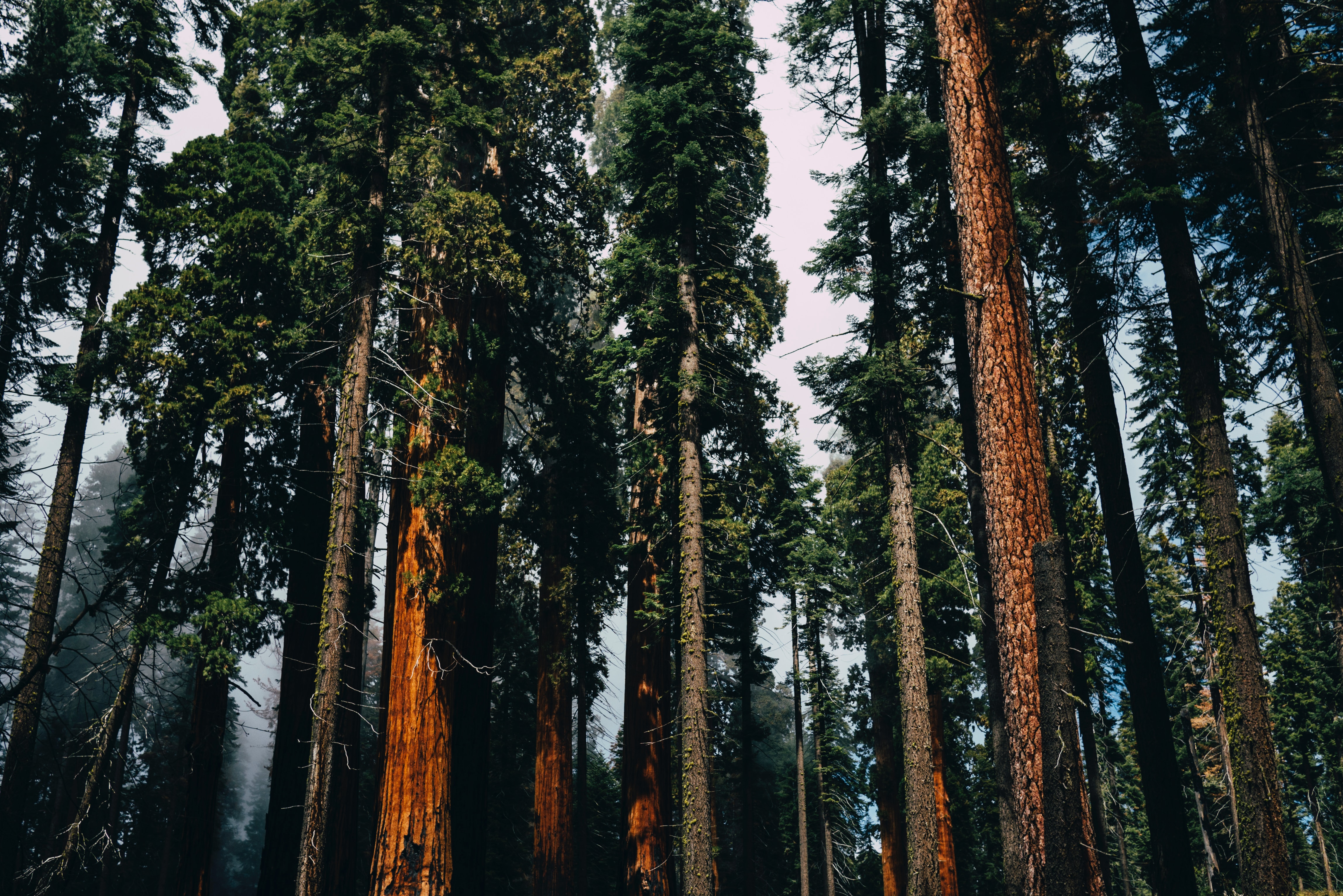 Oracle Park Pictures  Download Free Images on Unsplash