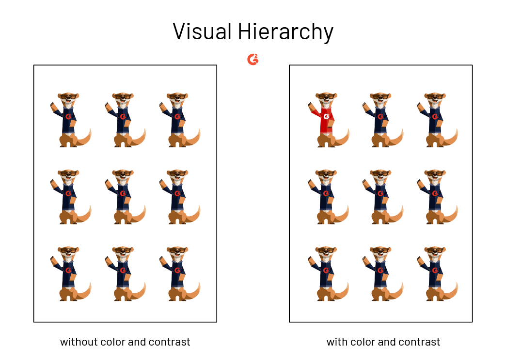 visual hierarchy with color and contrast